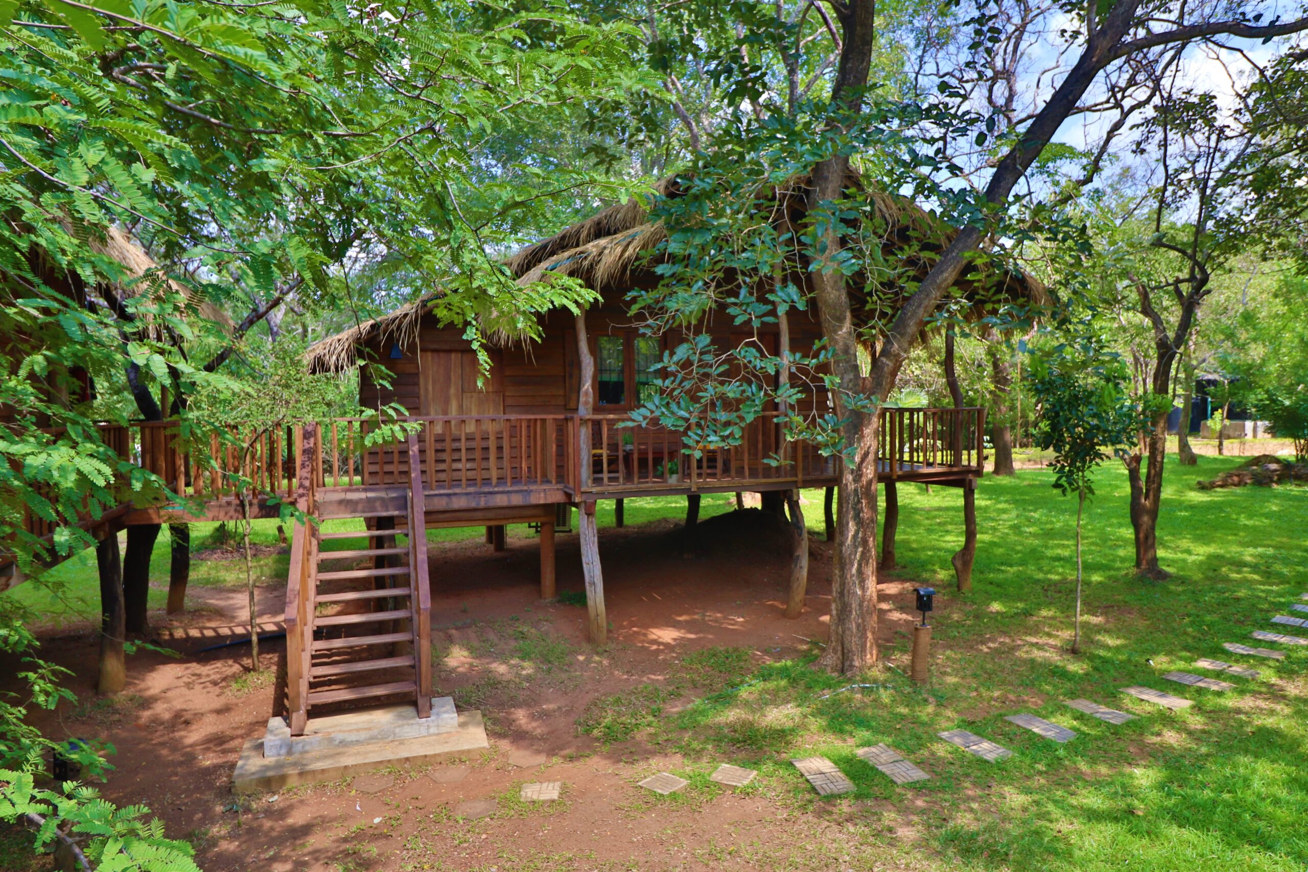 Tree Cottages